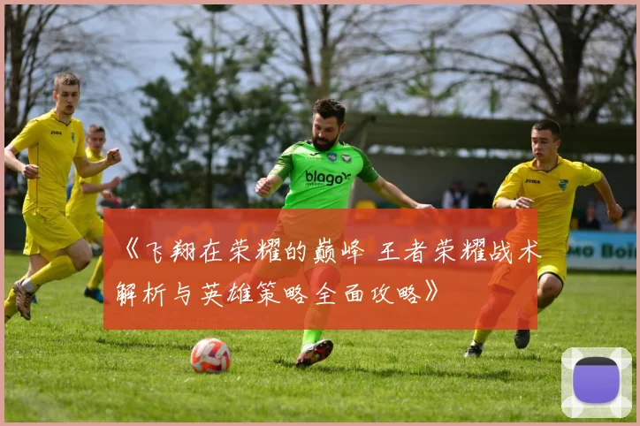 《飞翔在荣耀的巅峰 王者荣耀战术解析与英雄策略全面攻略》