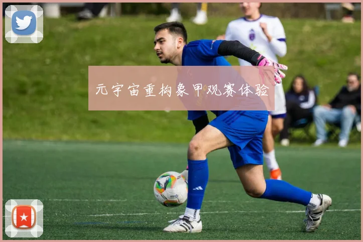 元宇宙重构象甲观赛体验