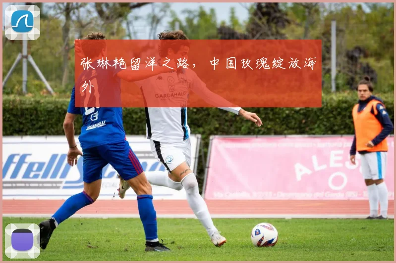 张琳艳留洋之路，中国玫瑰绽放海外