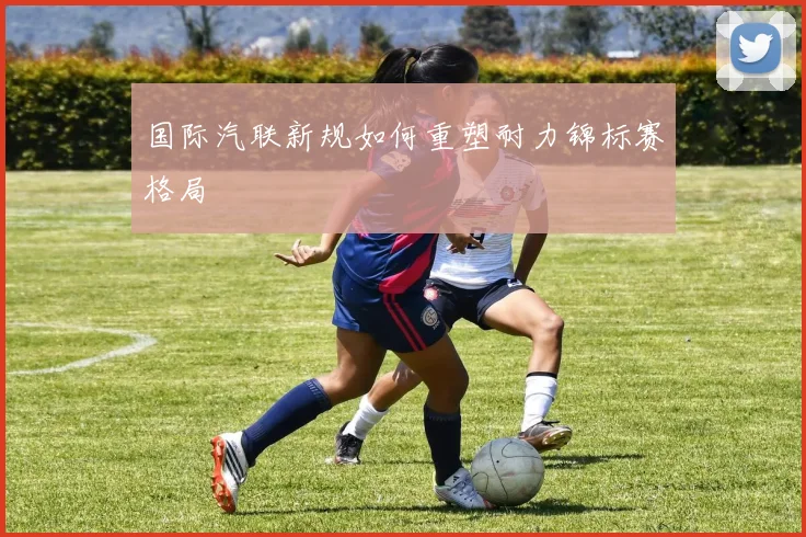 国际汽联新规如何重塑耐力锦标赛格局