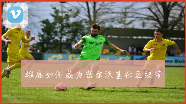 雄鹿如何成为密尔沃基社区纽带